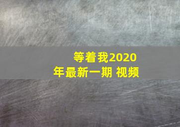 等着我2020年最新一期 视频